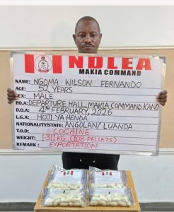 Screenshot_20260215_232402_WhatsApp