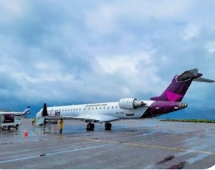 Screenshot_20260226_073225_Google